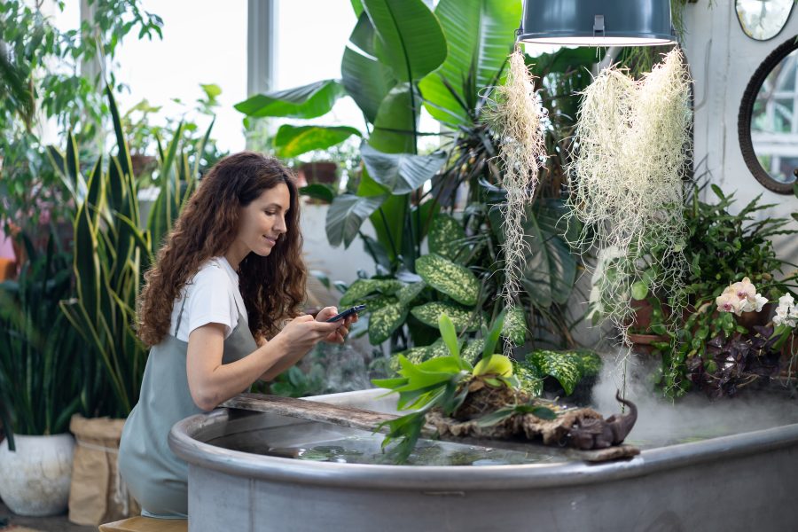 What Is Biophilic Design? A Beginner’s Guide