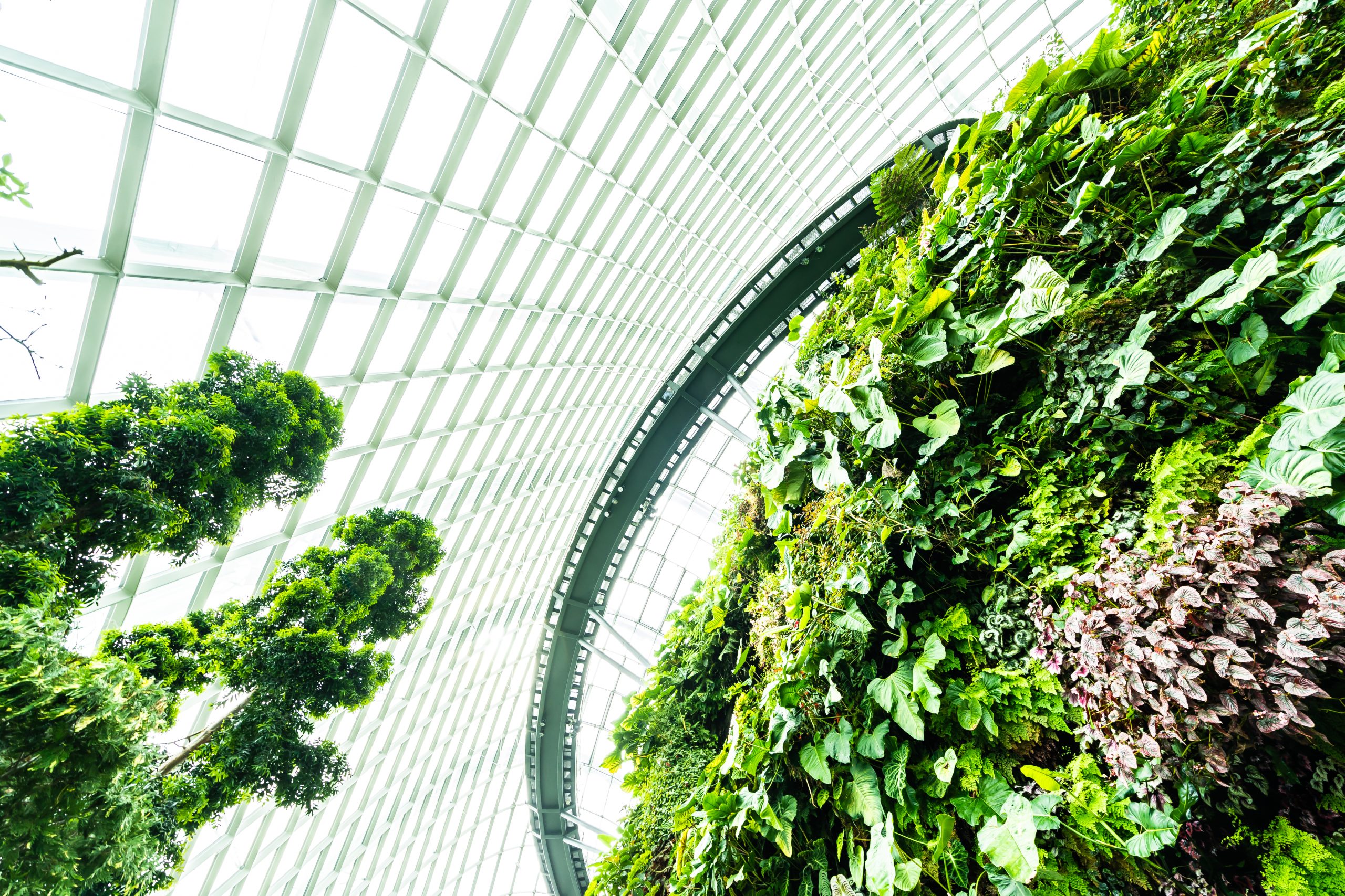 The Benefits of Biophilic Design: What the Research Actually Shows