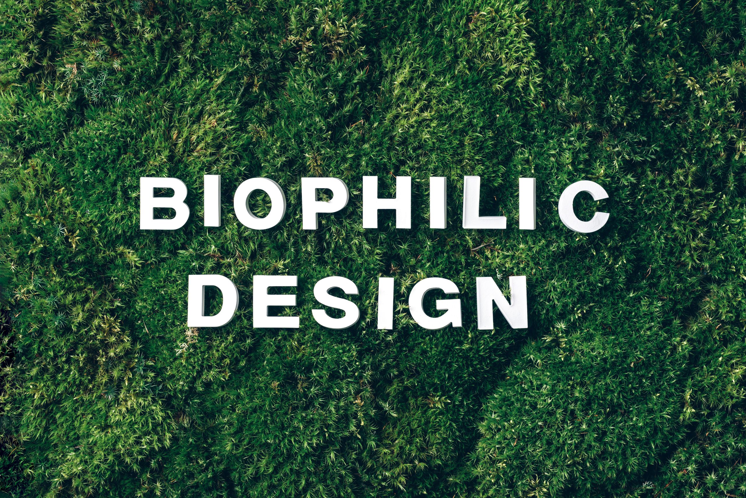 Color & Pattern in Biophilic Design: The Neuroscience Behind Nature-Inspired Palettes