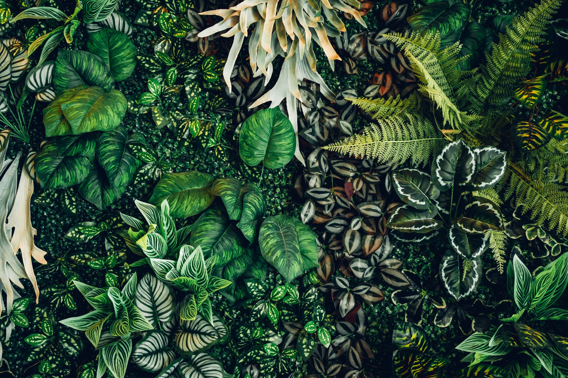 What I Learned About Real vs. Fake Biophilic Design And Why It Matters for Our Kids